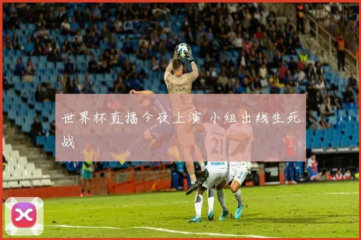 世界杯直播今夜上演 小组出线生死战