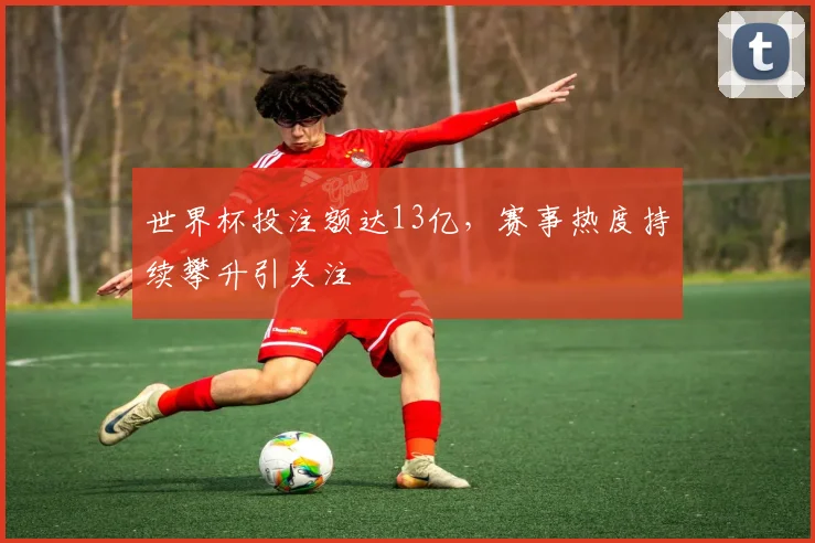 世界杯投注额达13亿，赛事热度持续攀升引关注
