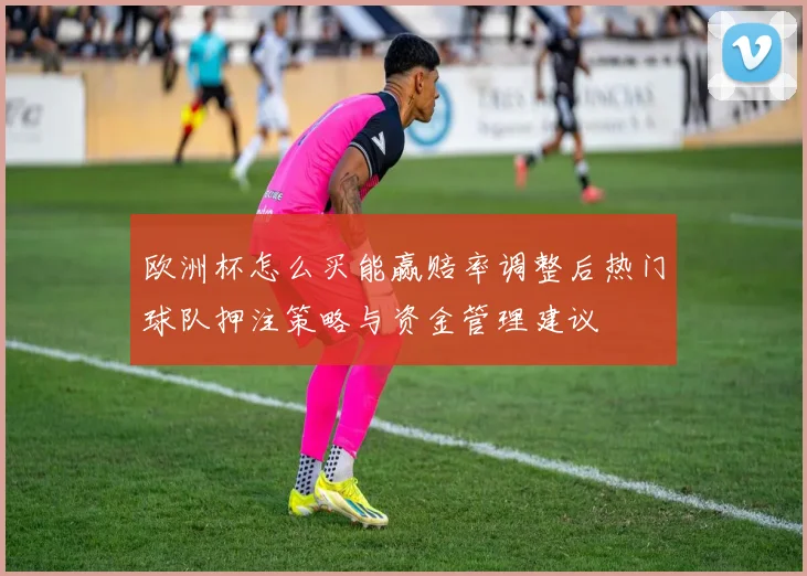 欧洲杯怎么买能赢赔率调整后热门球队押注策略与资金管理建议