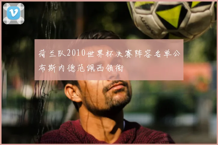 荷兰队2010世界杯决赛阵容名单公布斯内德范佩西领衔