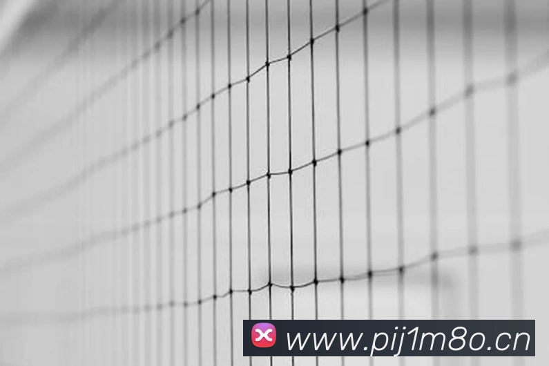 乐竞官网发展历程