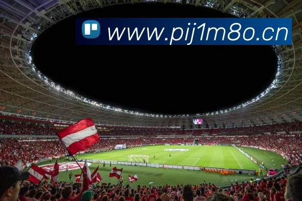 平台使命图